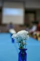gallery_latest_1